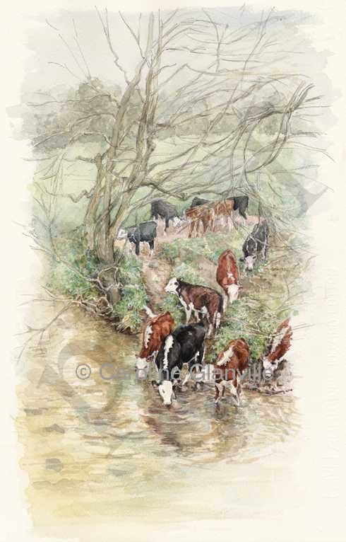 Cattle river winter scene, painting by Caroline Glanville